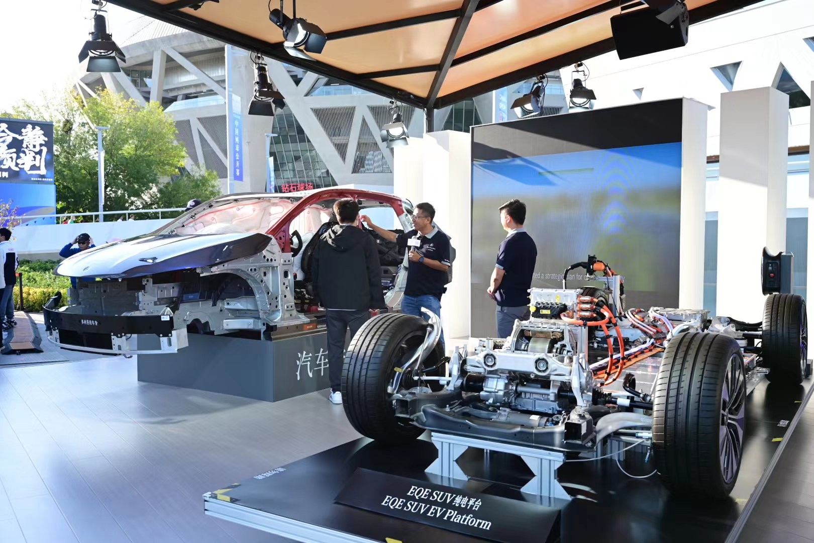 应激反应 应激反应